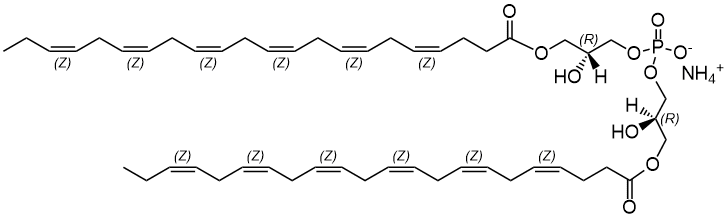 Bmp Sathi R 22:6 BMP (R,R) | Avanti Research