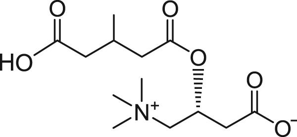 l-carnitine hydrochloride molecular weight Acetyl L-Carnitine Hydrochloride | CAS