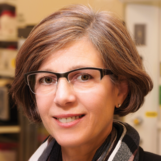 Jean Schaffer Avanti Research