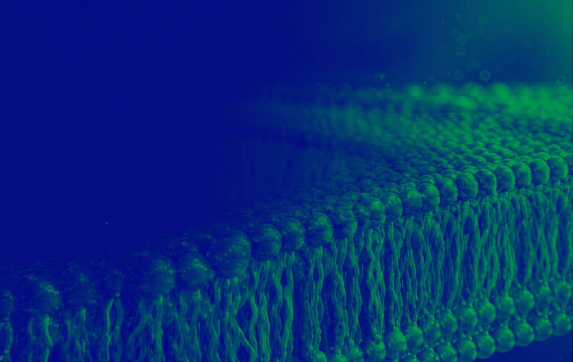 green and blue washed image of cells