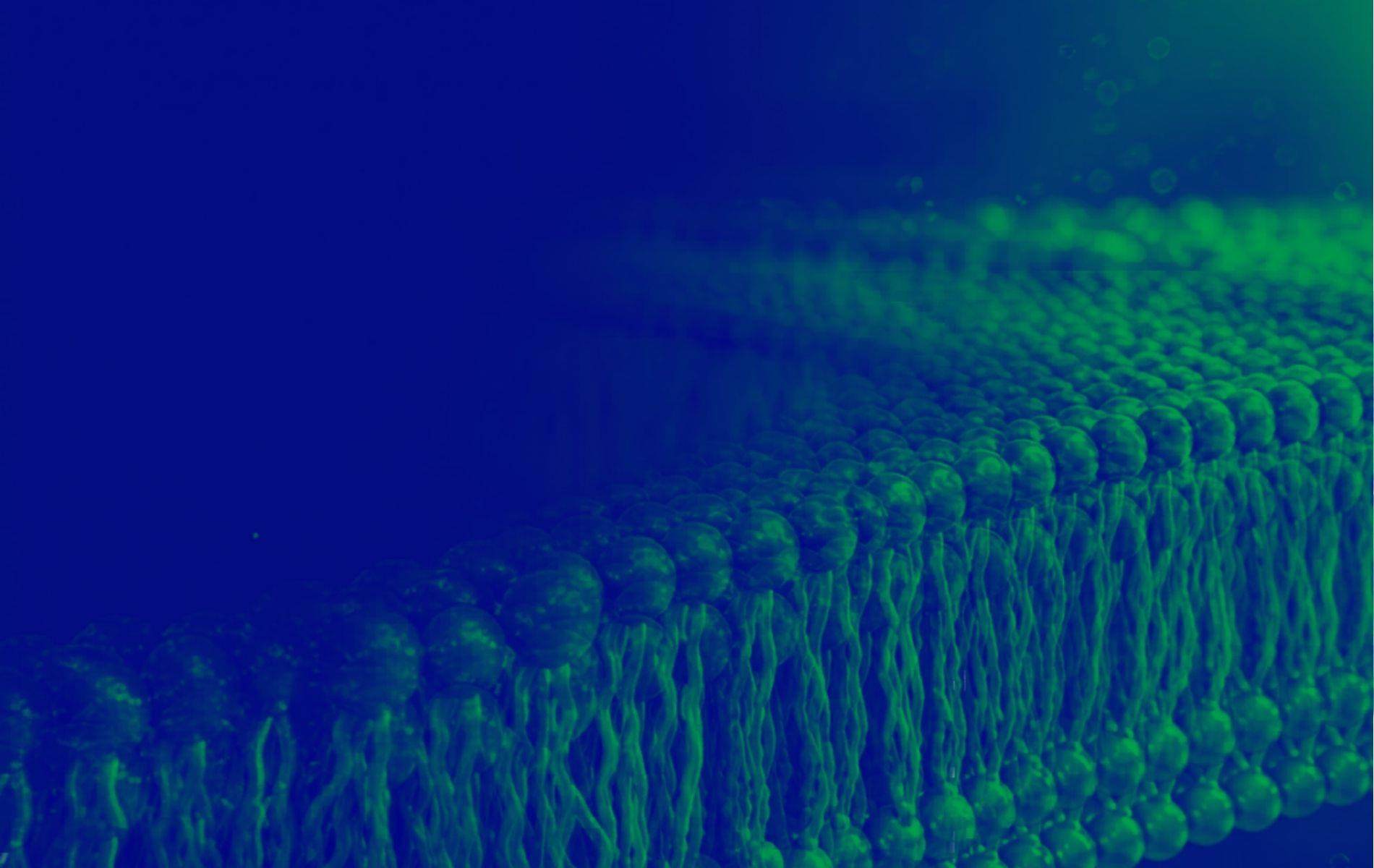 green and blue washed image of cells