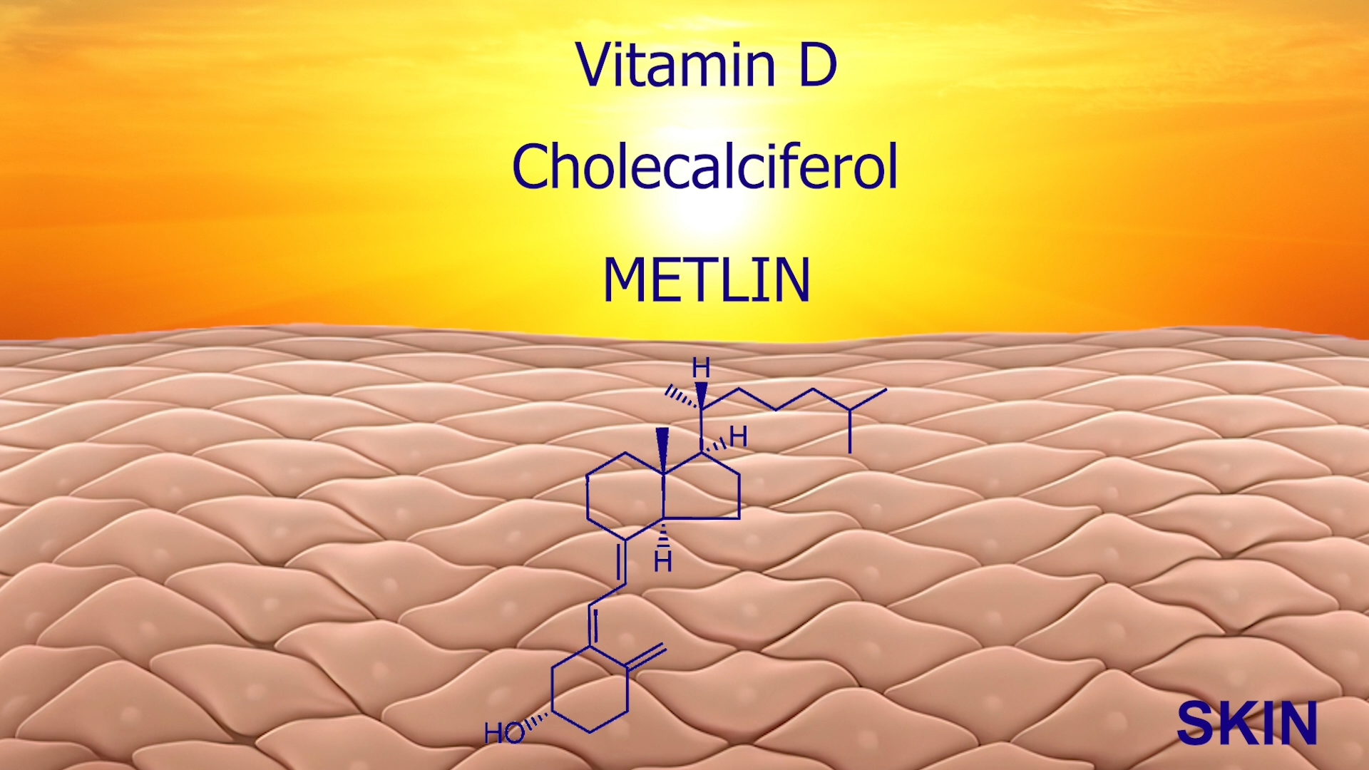 7-Dehydrocholesterol: Cholesterol Precursor, Previtamin, and Smith-Lemli-Opitz Biomarker