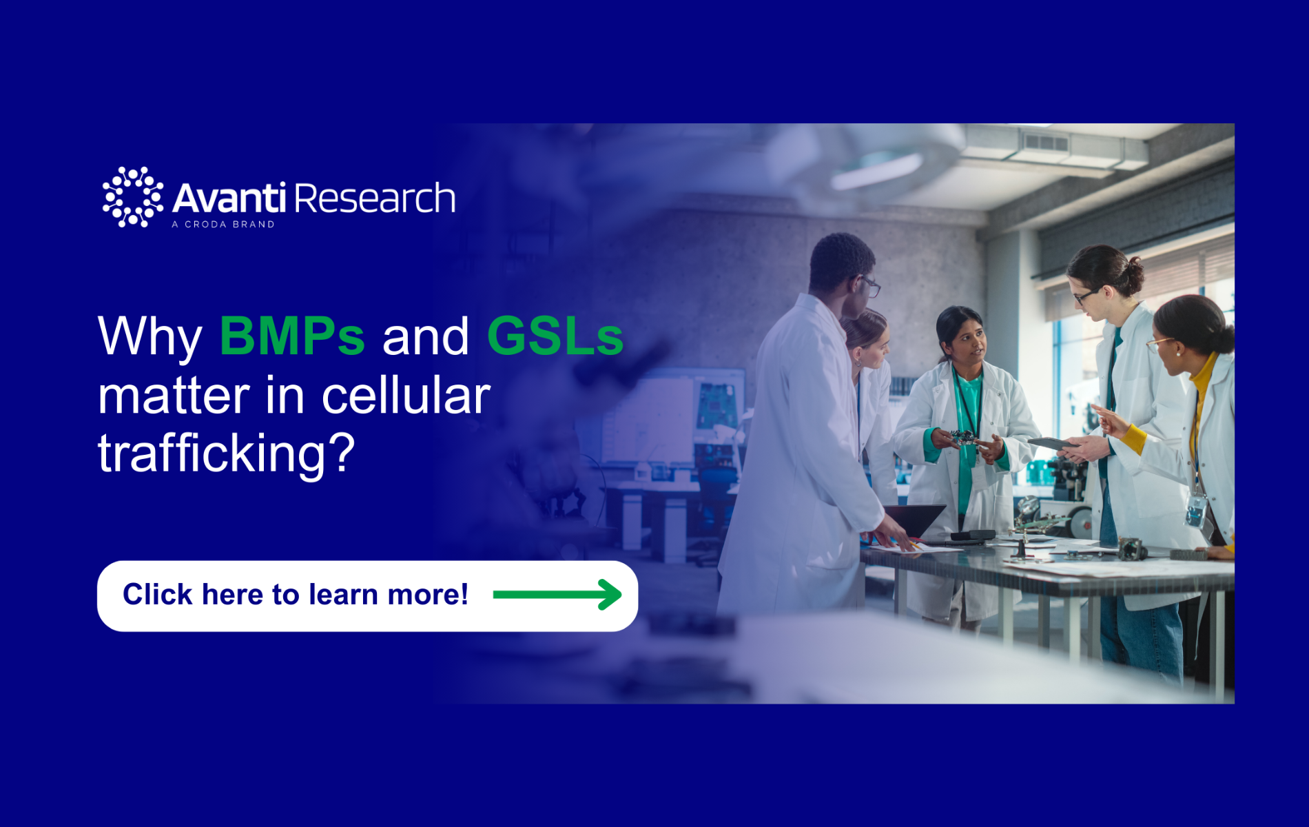Why bmps and GSLs matter in cellular trafficking