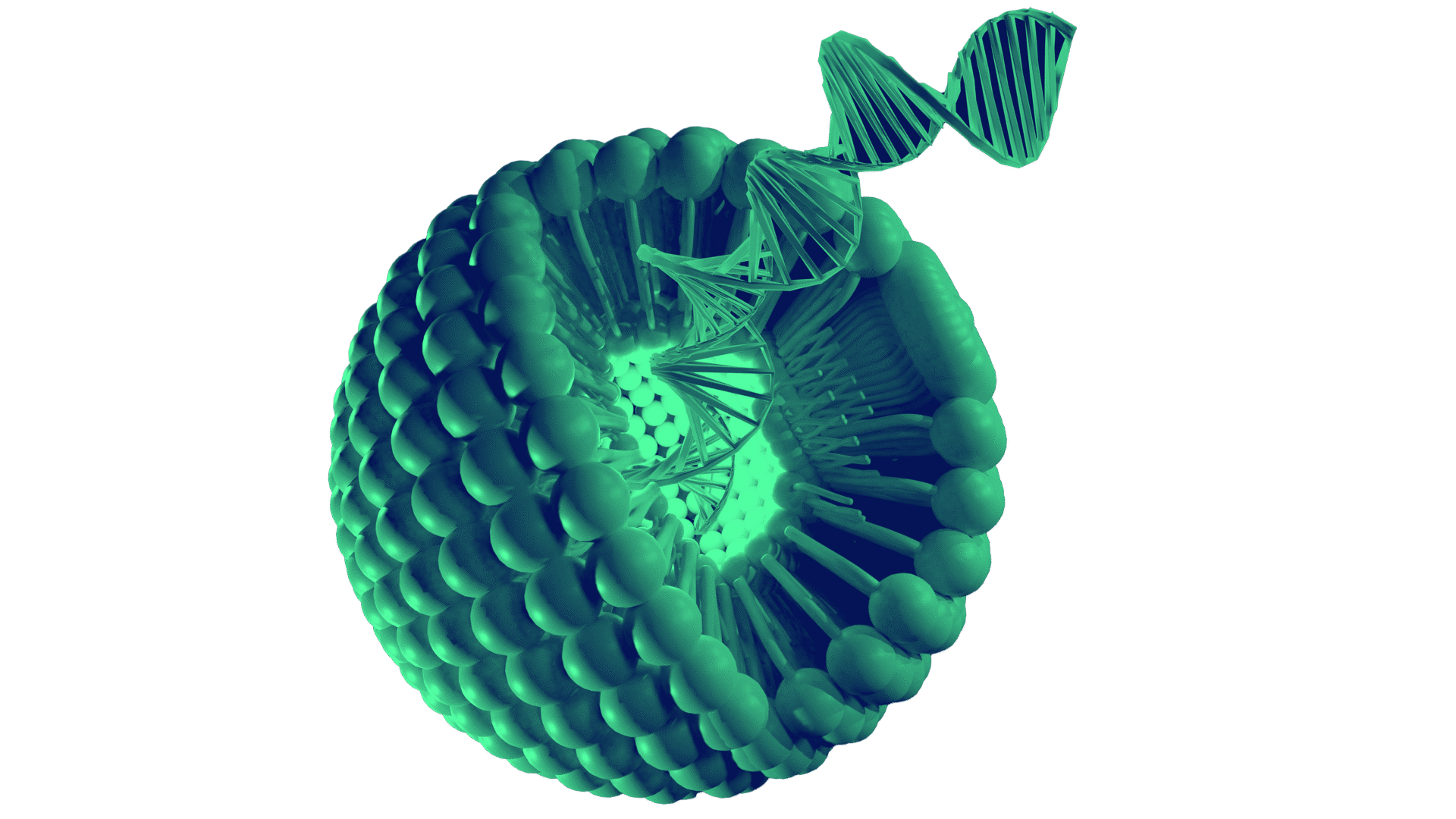 Green washed image of LNP