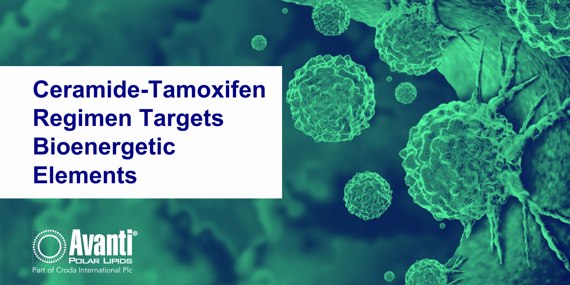 New Hope for Acute Myelogenous Leukemia Treatment: Ceramide-Tamoxifen