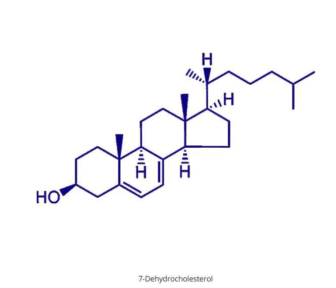 Cholesterol Chem Draw
