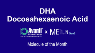 DHA: The Vitamin C of the Brain