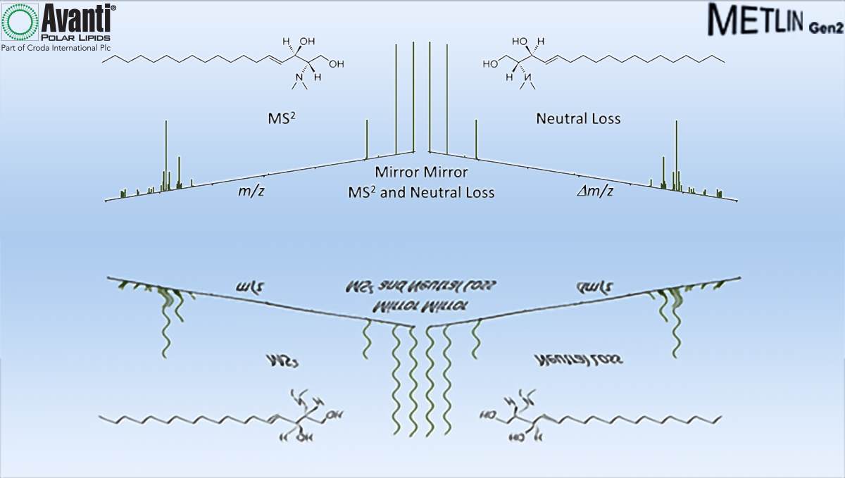 N,N-Dimethyl Sphingosine: What a Pain!