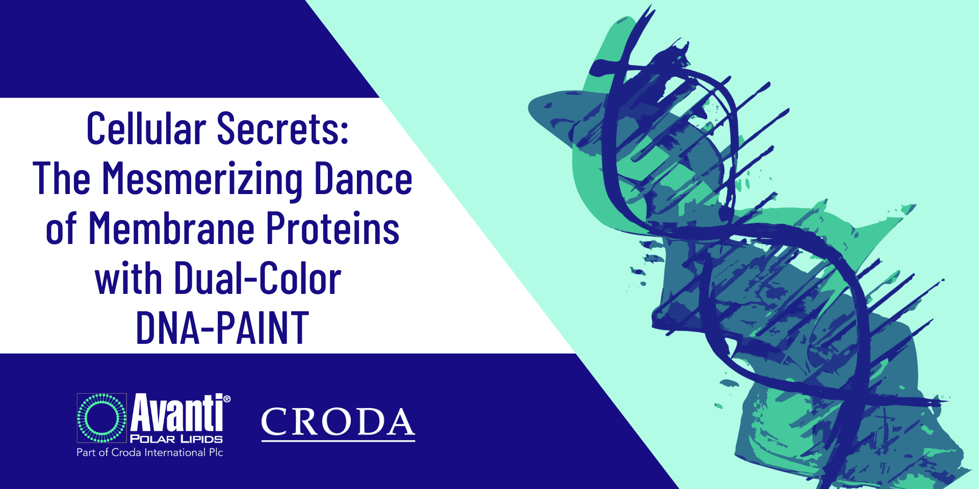 Cellular Secrets: The Mesmerizing Dance of Membrane Proteins with Dual-Color DNA-PAINT