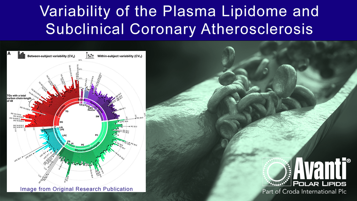 Lipidome Variability Within Subjects Leads to Novel Insights Into Specific Coronary Plaque Phenotypes