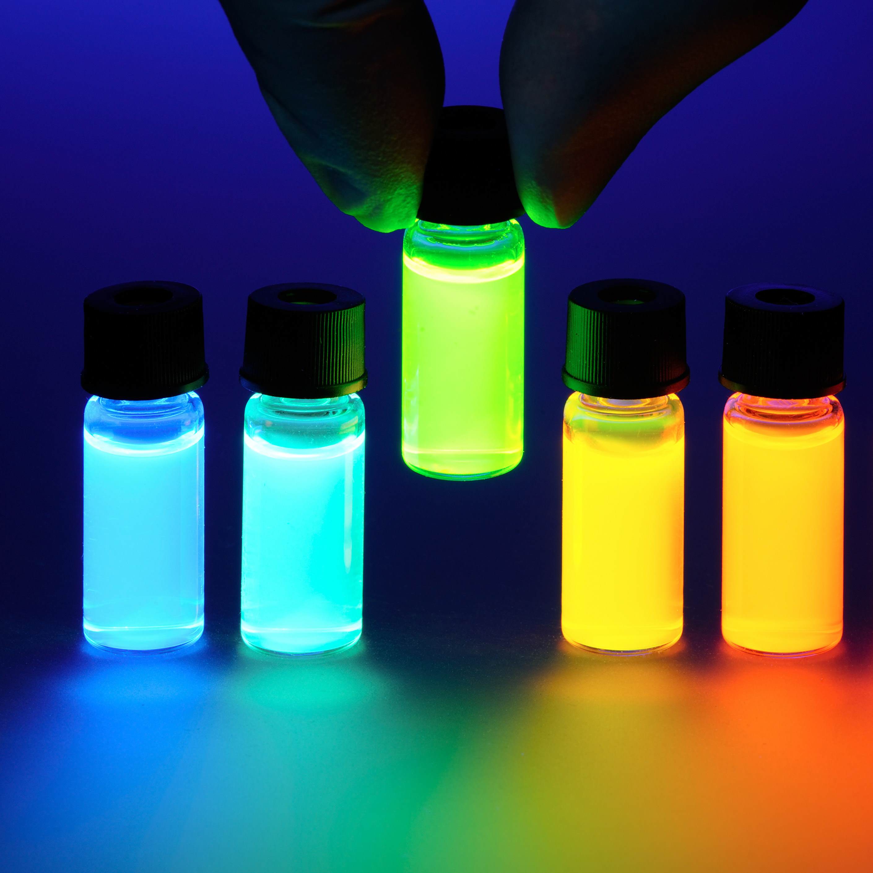 Fluorescent Lipids