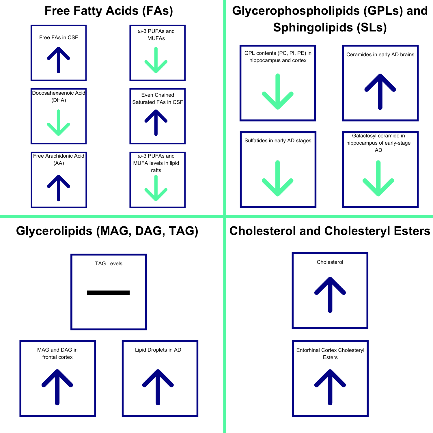 Free Fatty Acids FA Diagram