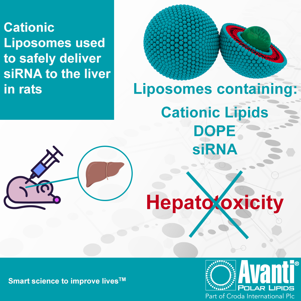 Research Spotlight: Effect of cationic lipid type in cationic liposomes for siRNA delivery into the liver by sequential injection of chondroitin sulfate and cationic lipoplex