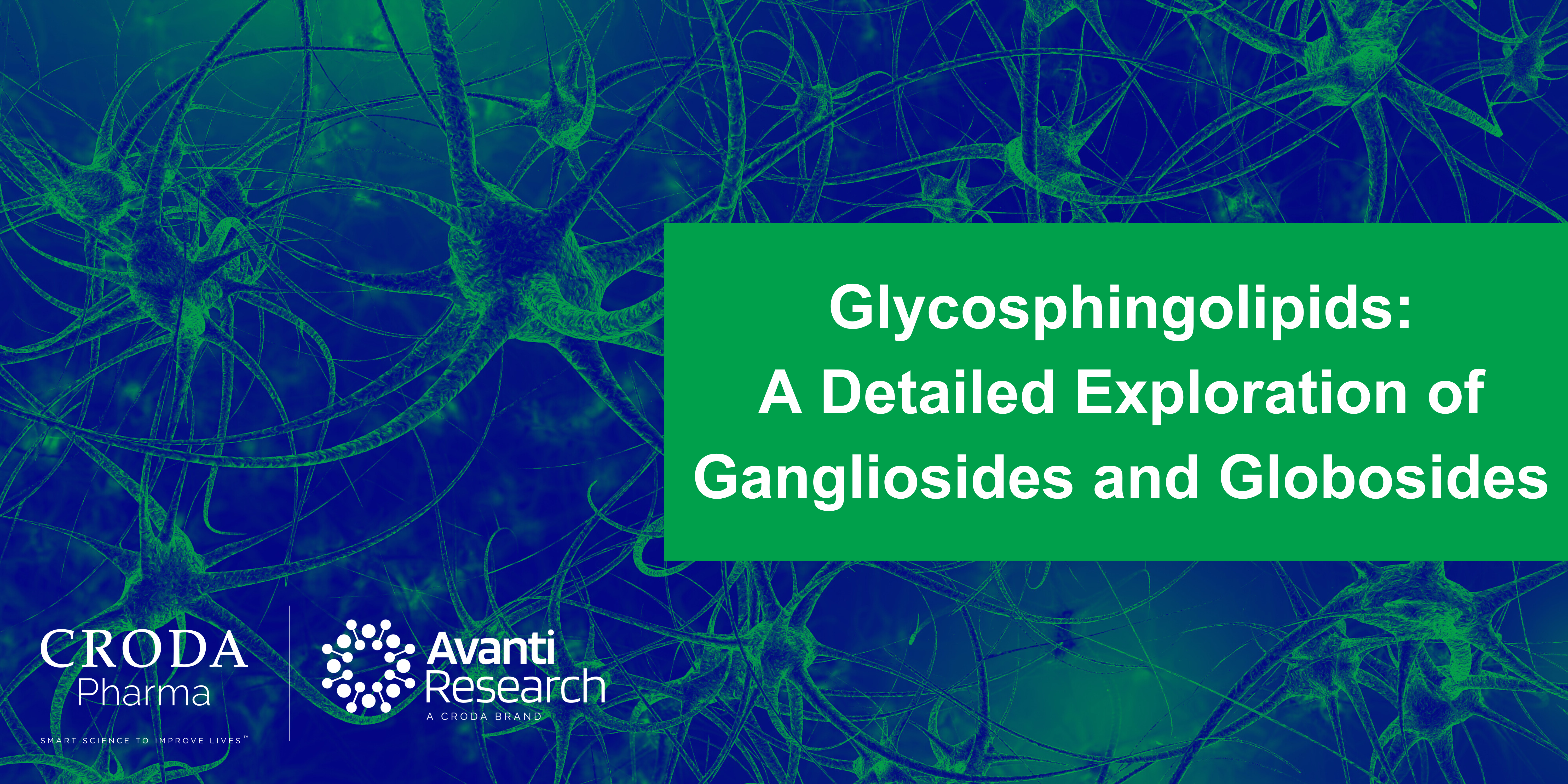 Glycosphingolipids: A Detailed Exploration of Gangliosides and Globosides