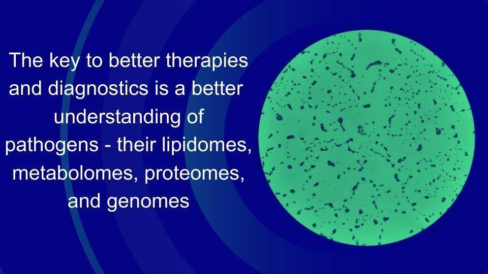Could antibiotic resistance be linked to the lipidome?
