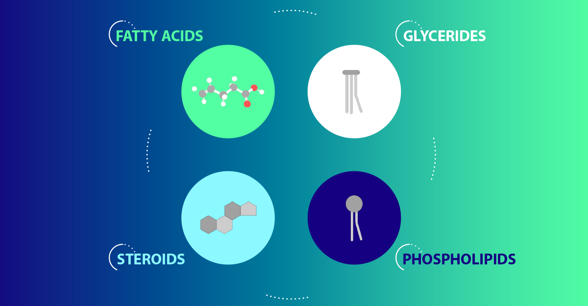 Lipids in Small-Molecule Pro-Drugs