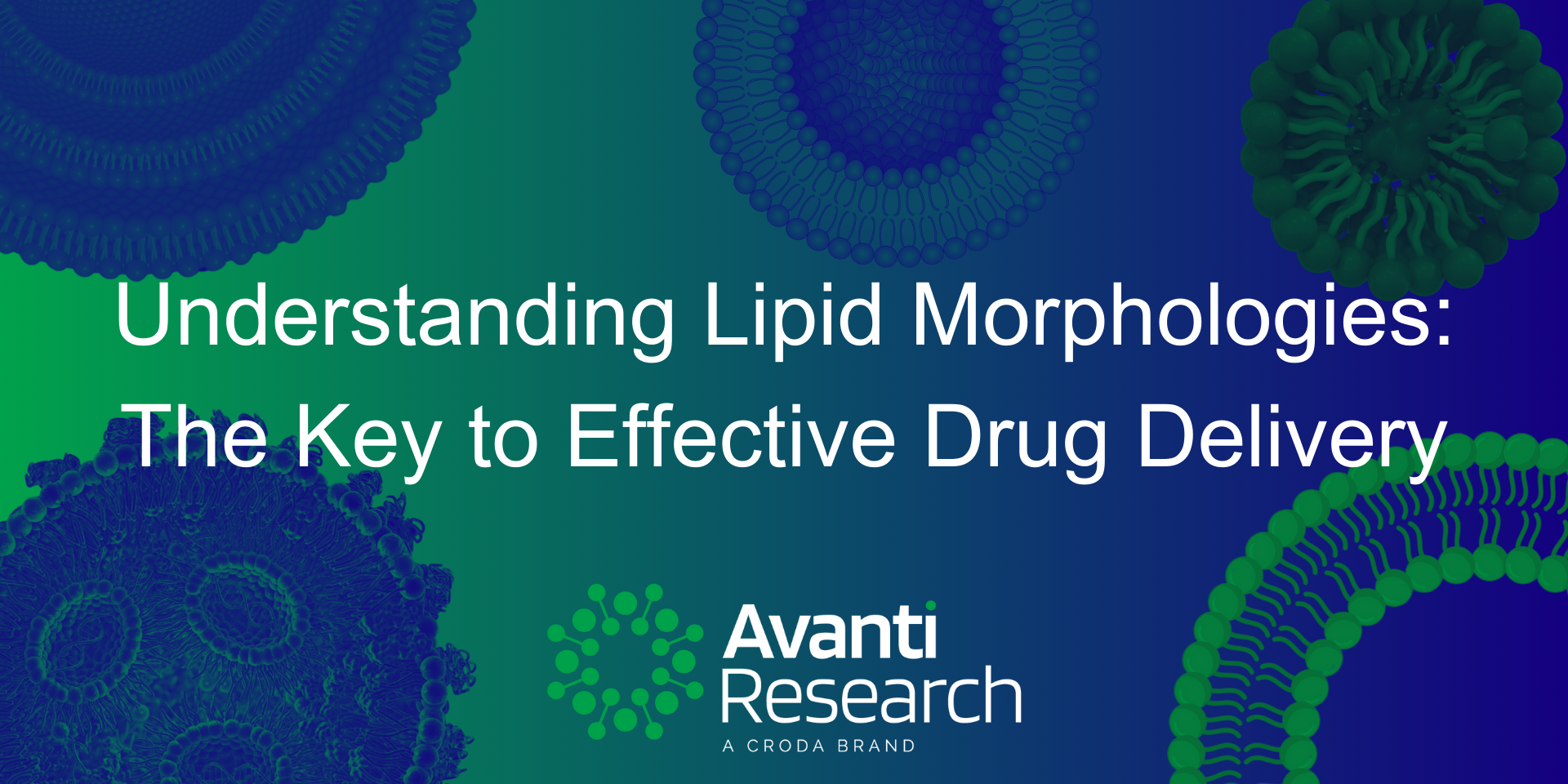 lipid morphologies image with text overlaid in green and blue