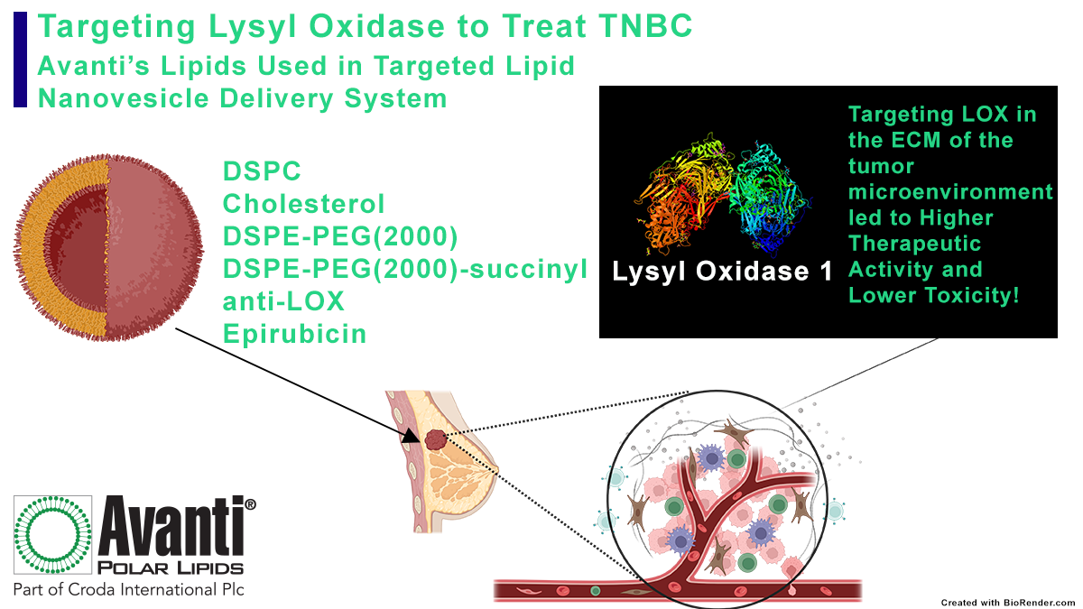 Investigating New Treatment Options for Triple Negative Breast Cancer