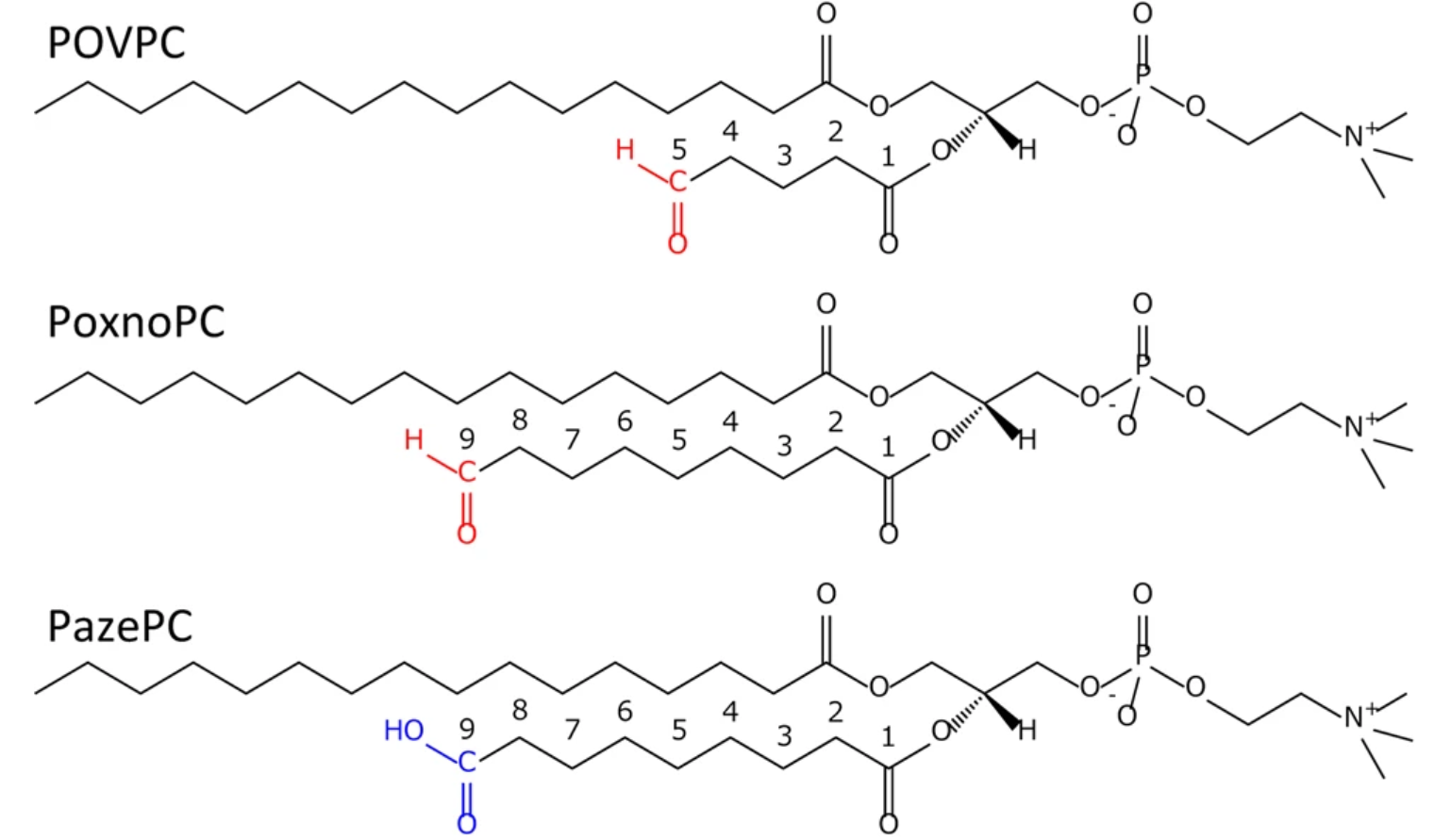 Oxidised lipids
