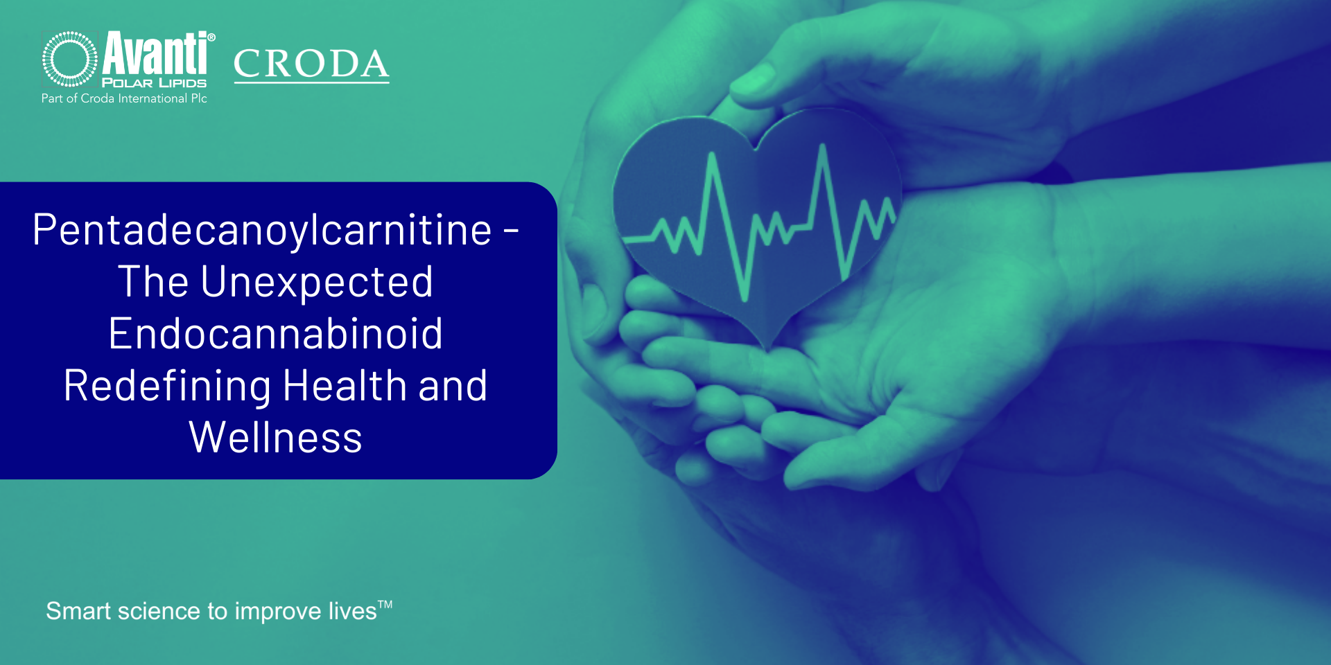 Pentadecanoylcarnitine - The Unexpected Endocannabinoid Redefining Health and Wellness