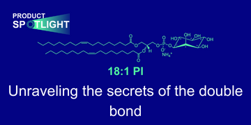 Stearoyl-CoA desaturase (SCD) 1 is a key enzyme in double bond formation. It is also known to be involved in stress signaling but the mechanism by which it does so has been a mystery - until now! PI (18:1/18:1) is the primary SCD1-derived metabolite that modulates stress signaling. Keep reading to learn more!