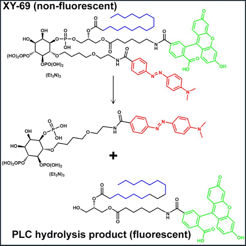 PLC Hydrolysis product information