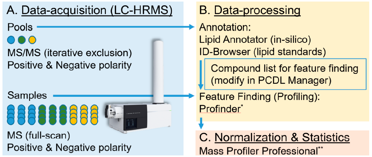 Image from Orignal Research Publication  Most recently, the collaborative efforts between Yale University, the University of Florida, and Agilent Technologies produced the Lipid Annotator and Mass Profiler Professional Software. This software development relied heavily on Avanti standards to develop a library of lipid MS/MS data. Avanti pipeline products will also be used in the future to continue the growth of the lipid library of MS/MS data. The Lipid Annotator software is available at Agilent Technologies and more information can be viewed by clicking HERE.