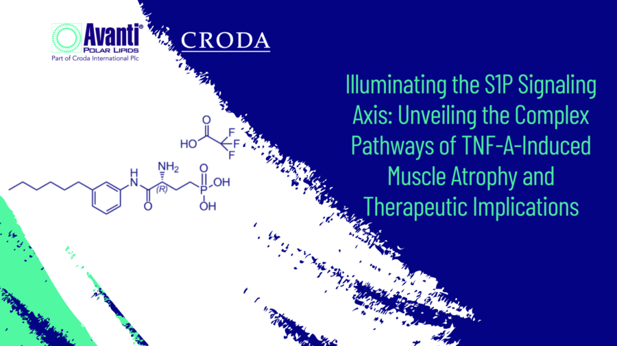 Illuminating the S1P Signaling Axis: Unveiling the Complex Pathways of TNF-α-Induced Muscle Atrophy and Therapeutic Implications