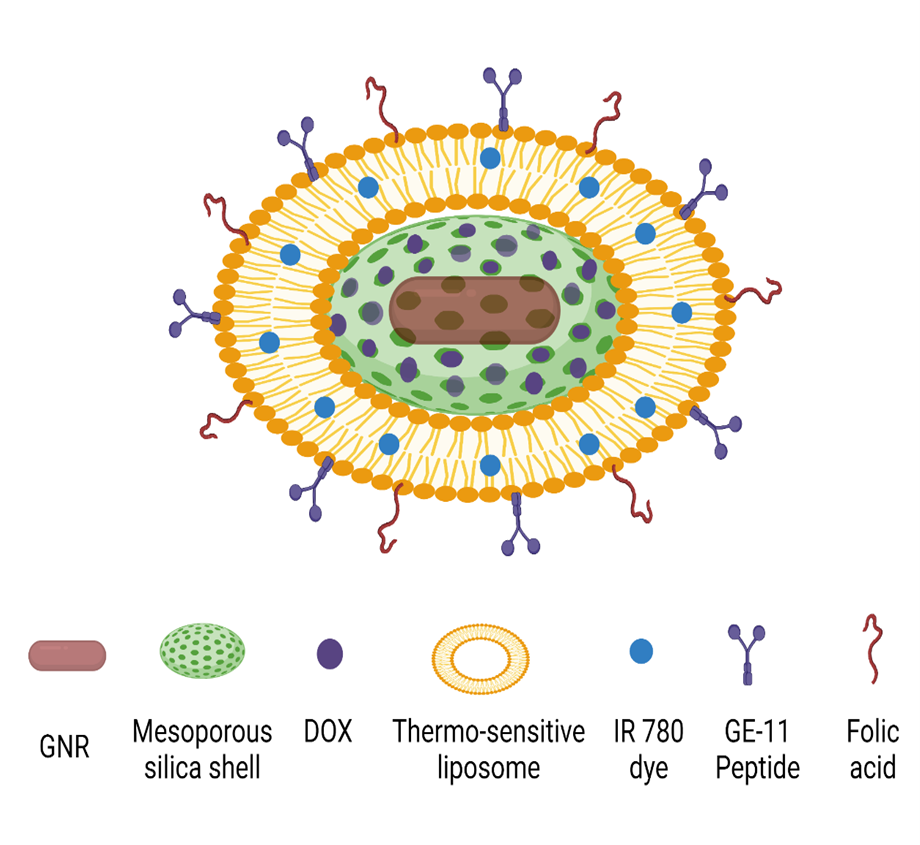 Scheme 1: Design of Nano assembly