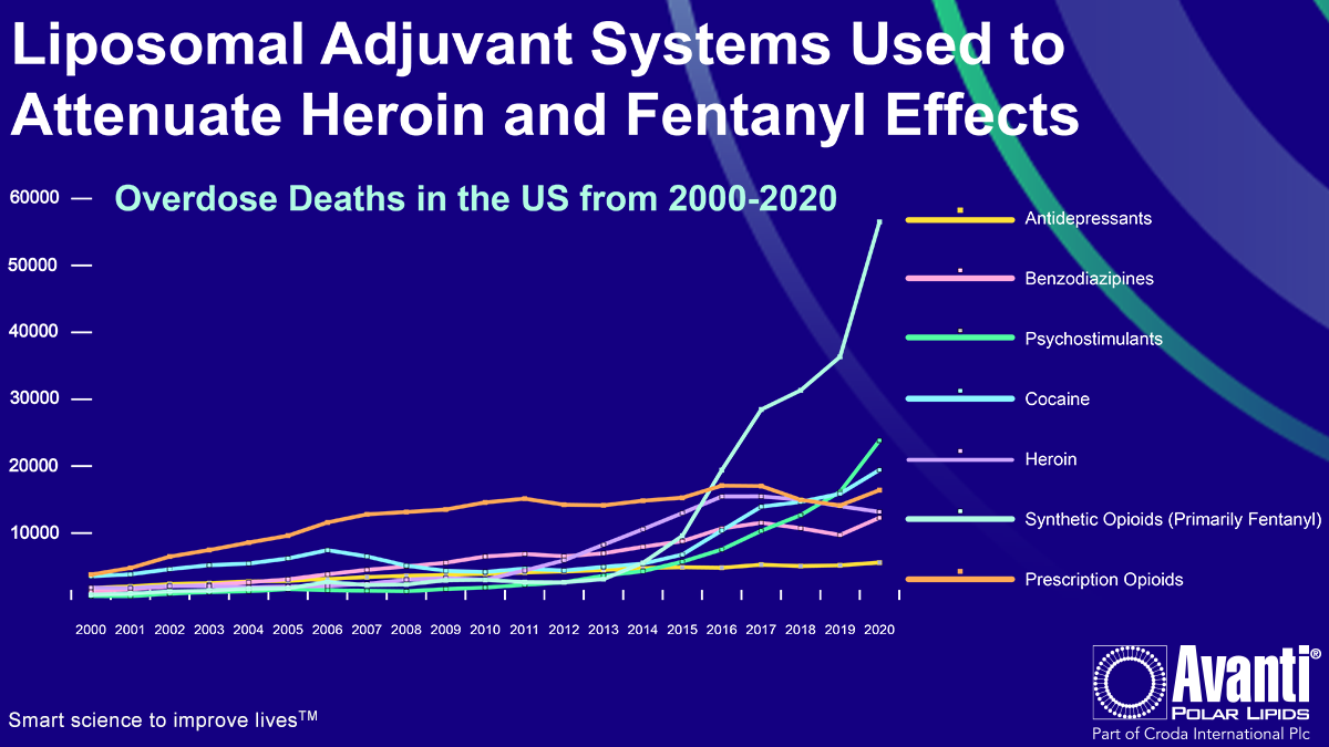 Combatting the Opioid Crisis with Liposomal Adjuvant Systems