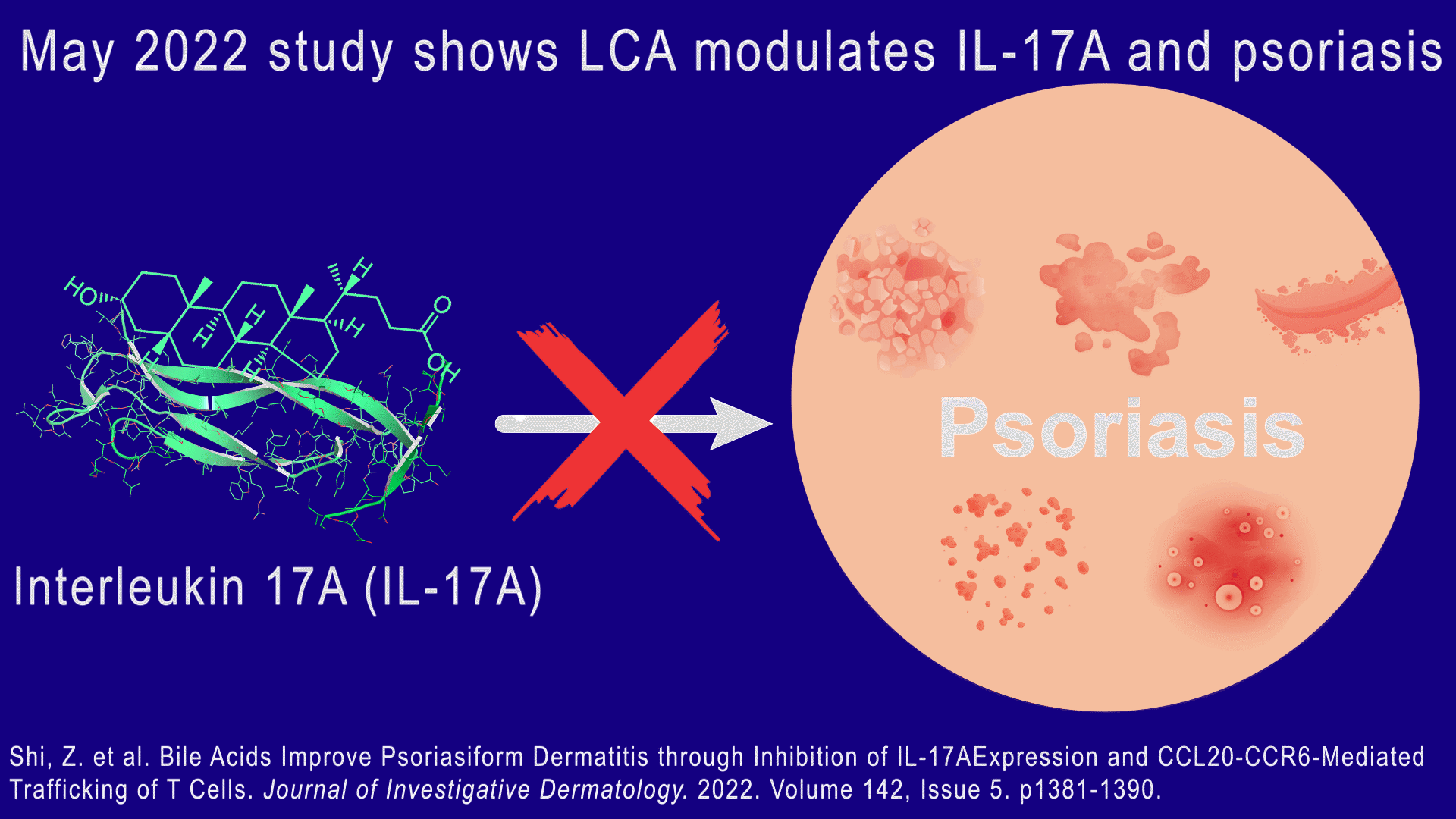 LCA Molecules