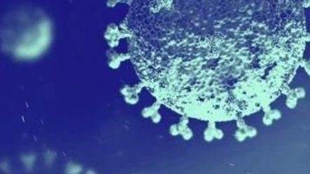 Blue washed CAF cell