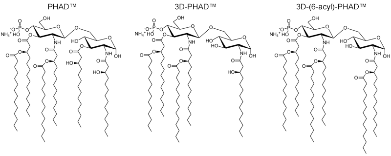 PHAD adjuvants chemical structures