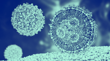 blue washed image of an LNP