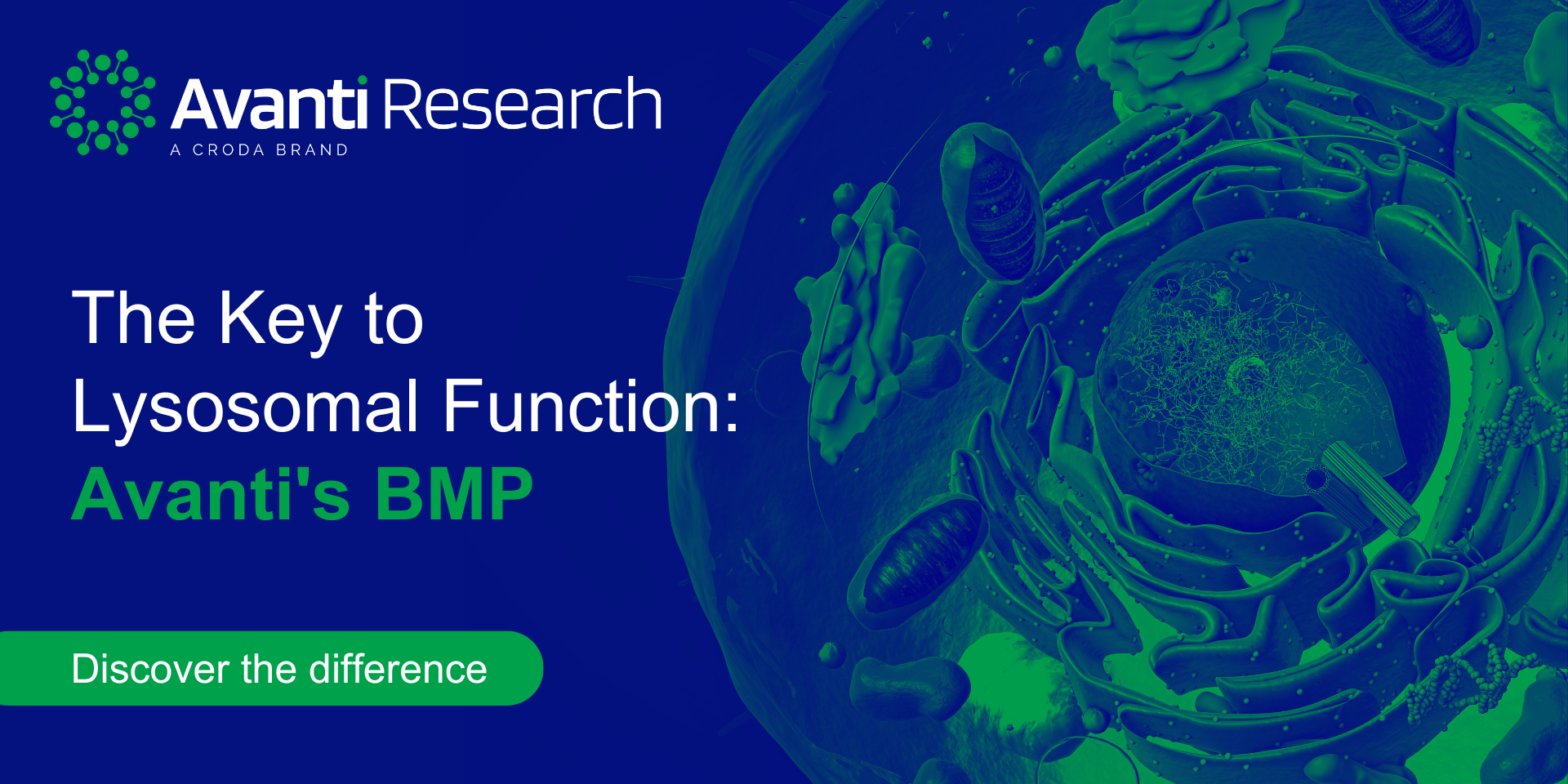 Explore Bis(Monoacylglycero)Phosphate (BMP) from Avanti Research