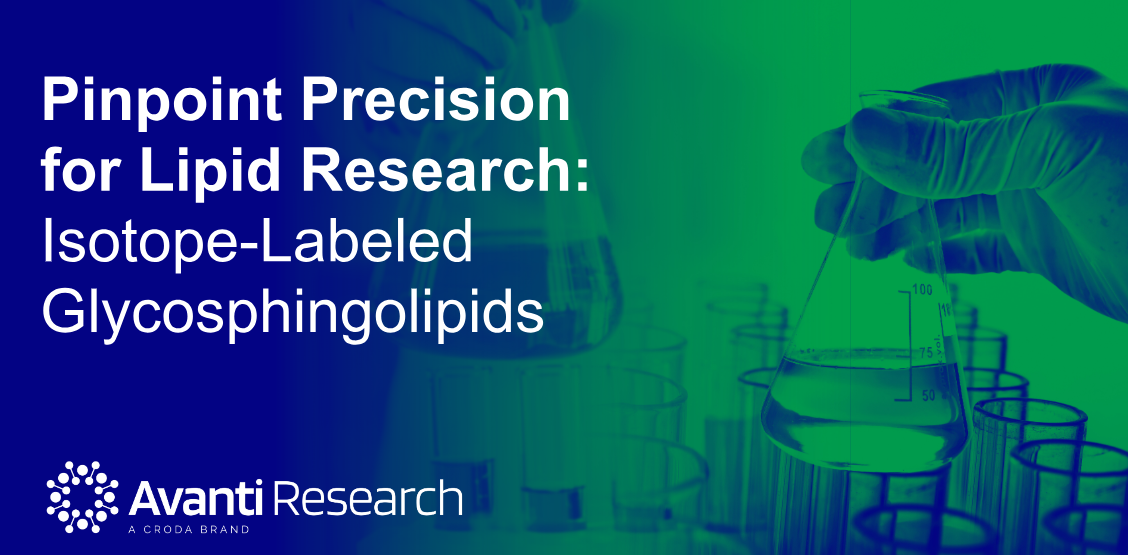 Pinpoint Precision for Lipid Research: Isotope Labeled Glycosphingolipids