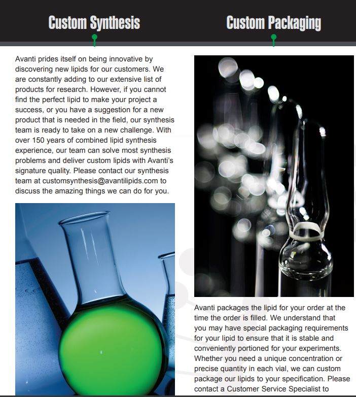 Custom Services Flyer Cover By Avanti