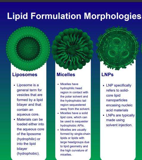Cover of Lipid Formulation Morphologies Flyer from Avanti Research