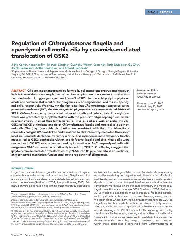 Cover of: Regulation of Chlamydomonas flagella and  ependymal cell motile cilia by ceramide-mediated  translocation of GSK3