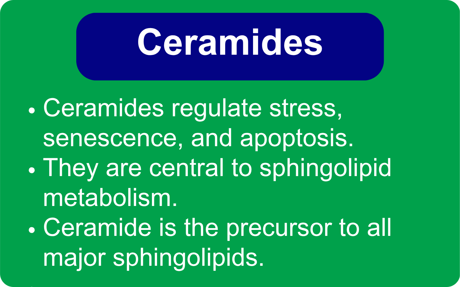 Green block with text overlaid about ceramides