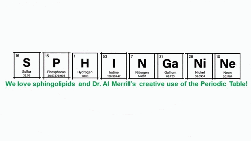 Sphinganine Periodic Table Image