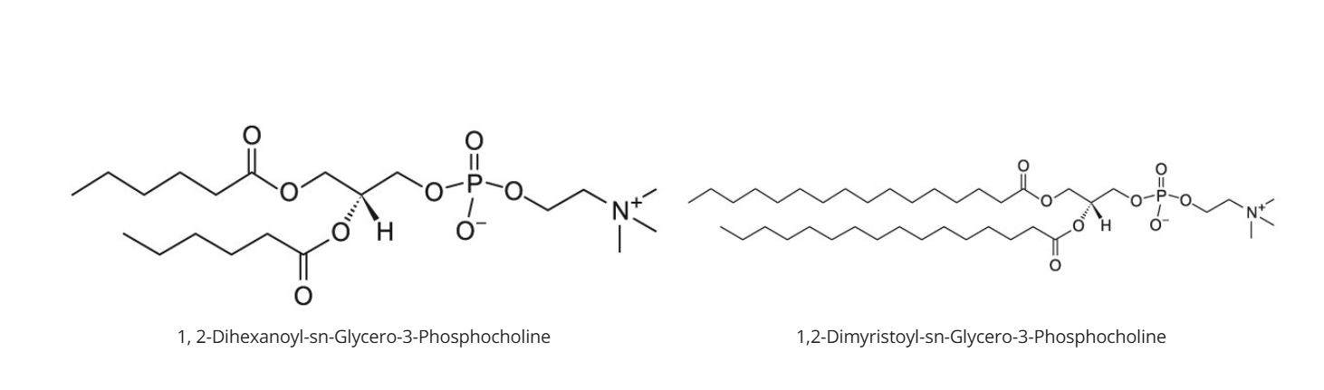 Bicelle Preparation Chem Draw File