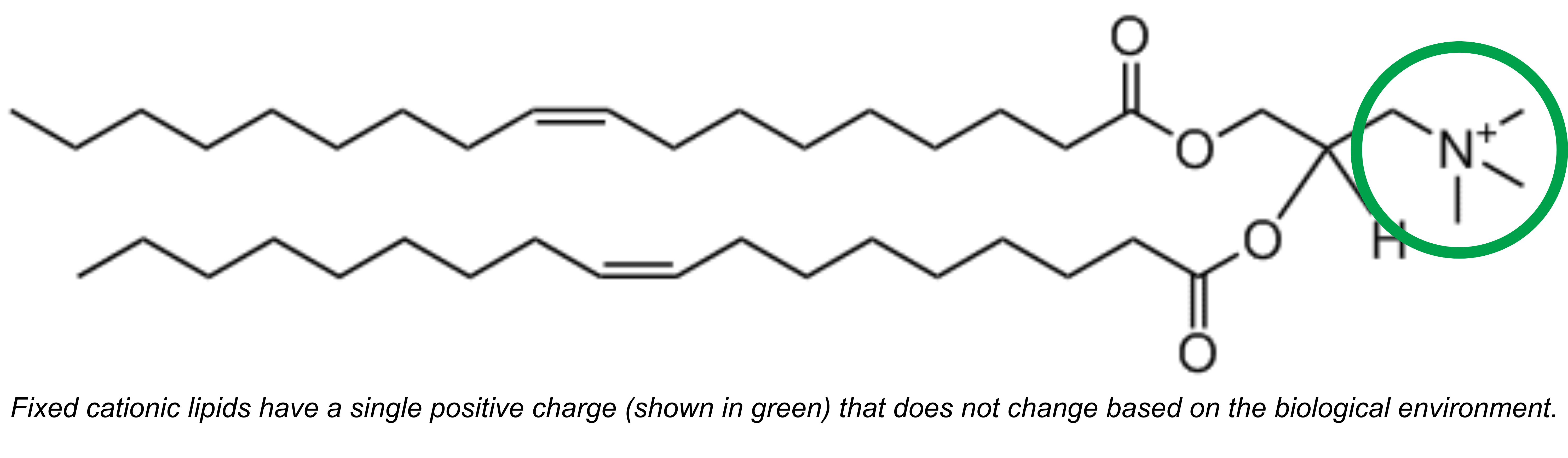 Cationic lipids chem draw structure