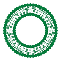 Cartoon Depiction of GUVs