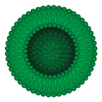 Cartoon Graphic of Liposome
