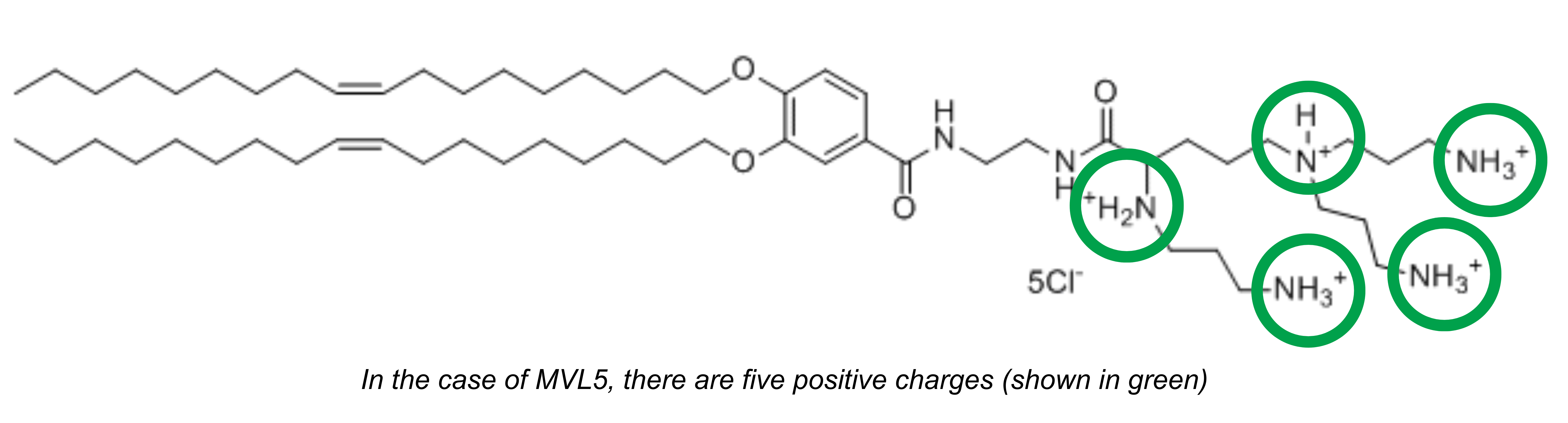 Multivalent Cationic Lipids Chem Draw Structure