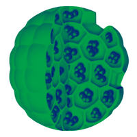 Cartoon depiction of MVL