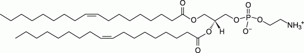 phosphatidylethanolamine diagram 